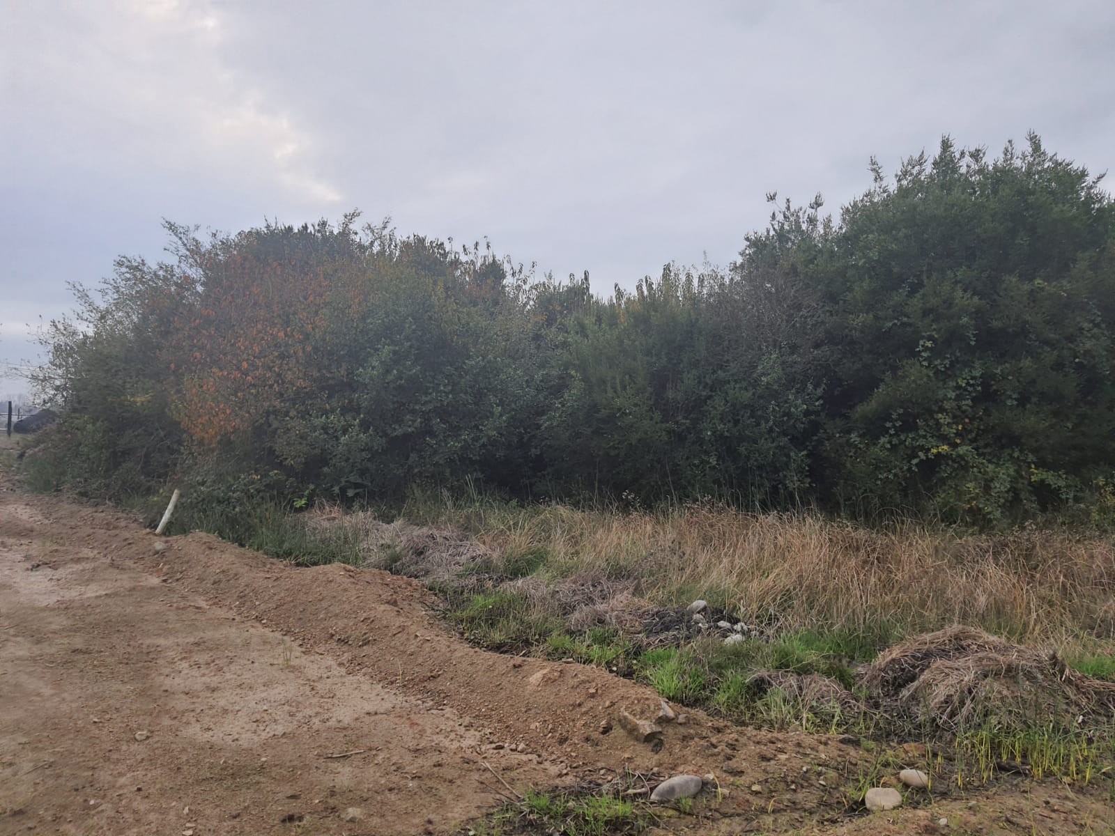 Parcela de 5.000 m2 Bobadilla