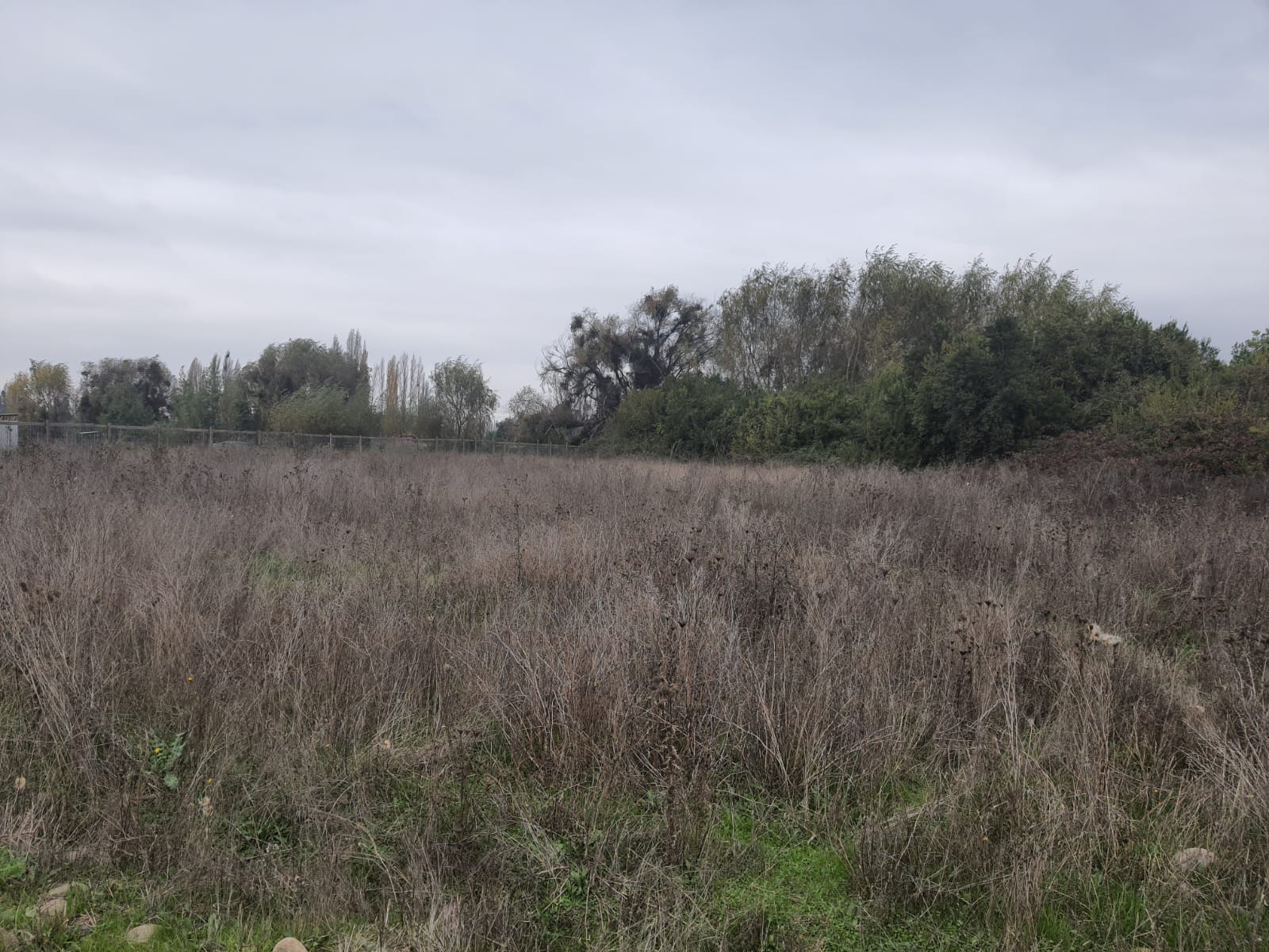 Parcela de 5.000 m2 Bobadilla