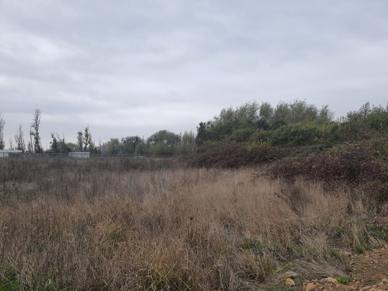 Parcela de 5.000 m2 Bobadilla