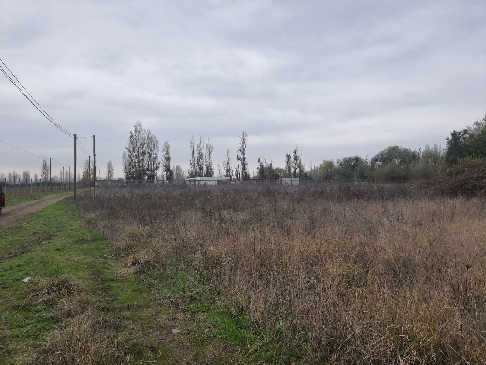 Parcela de 5.000 m2 Bobadilla