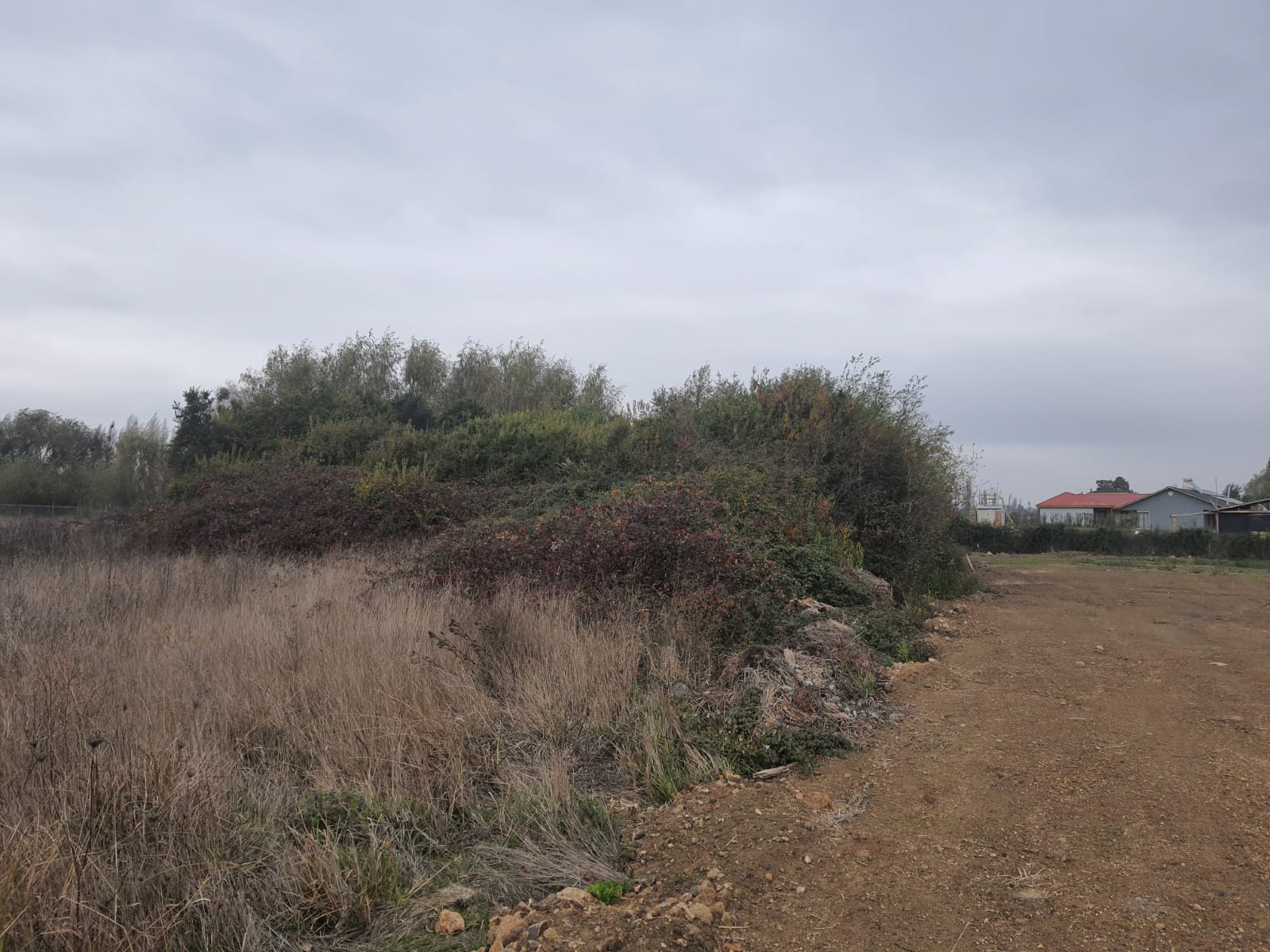 Parcela de 5.000 m2 Bobadilla