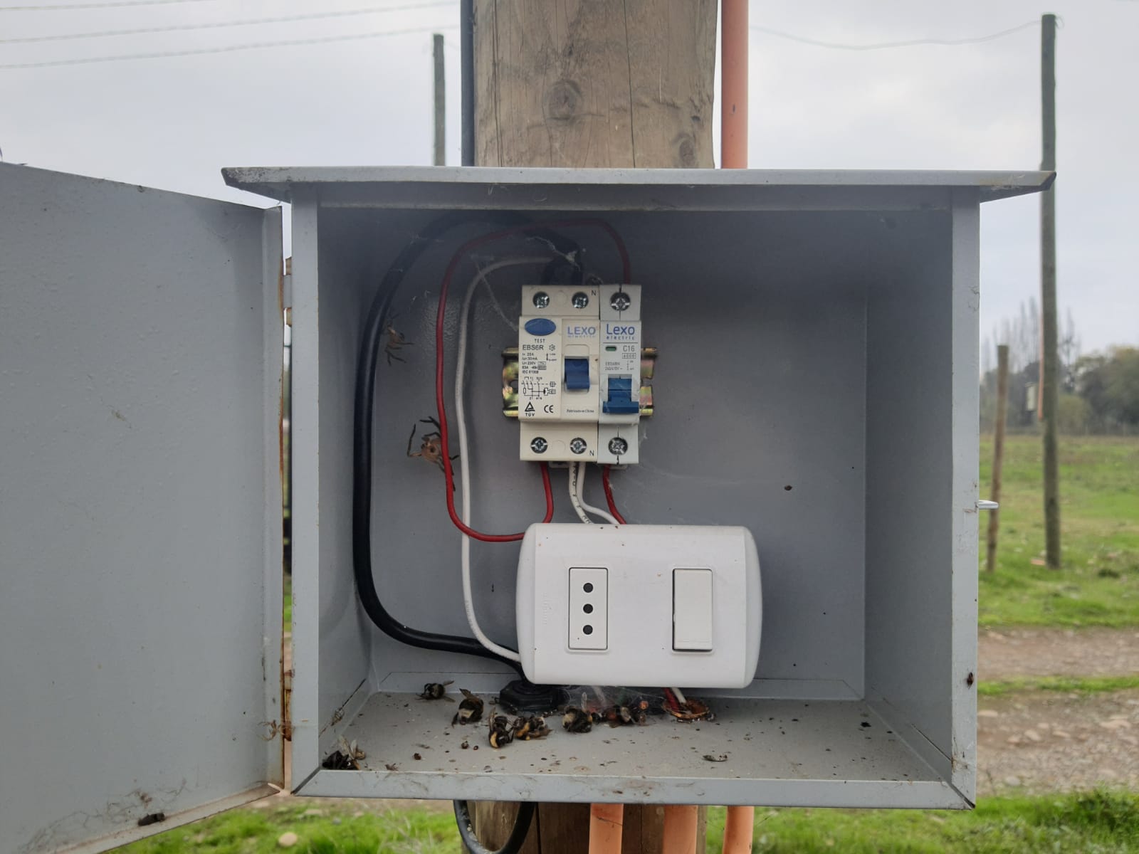 Parcela de 5.000 m2 Bobadilla