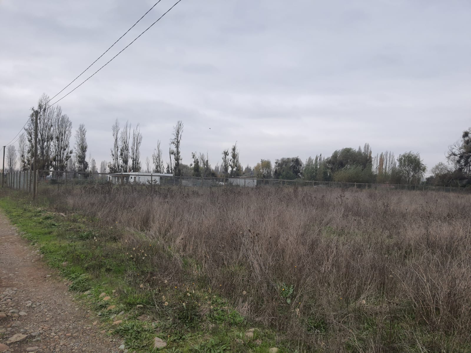 Parcela de 5.000 m2 Bobadilla