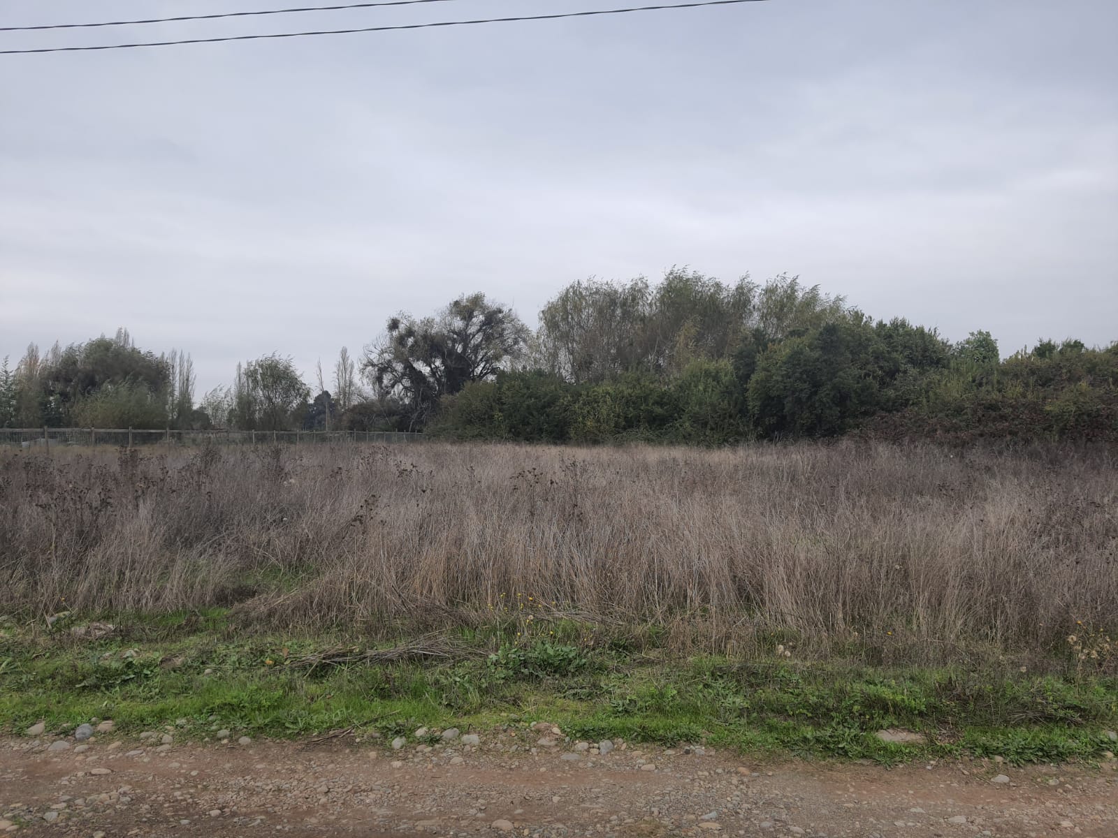 Parcela de 5.000 m2 Bobadilla