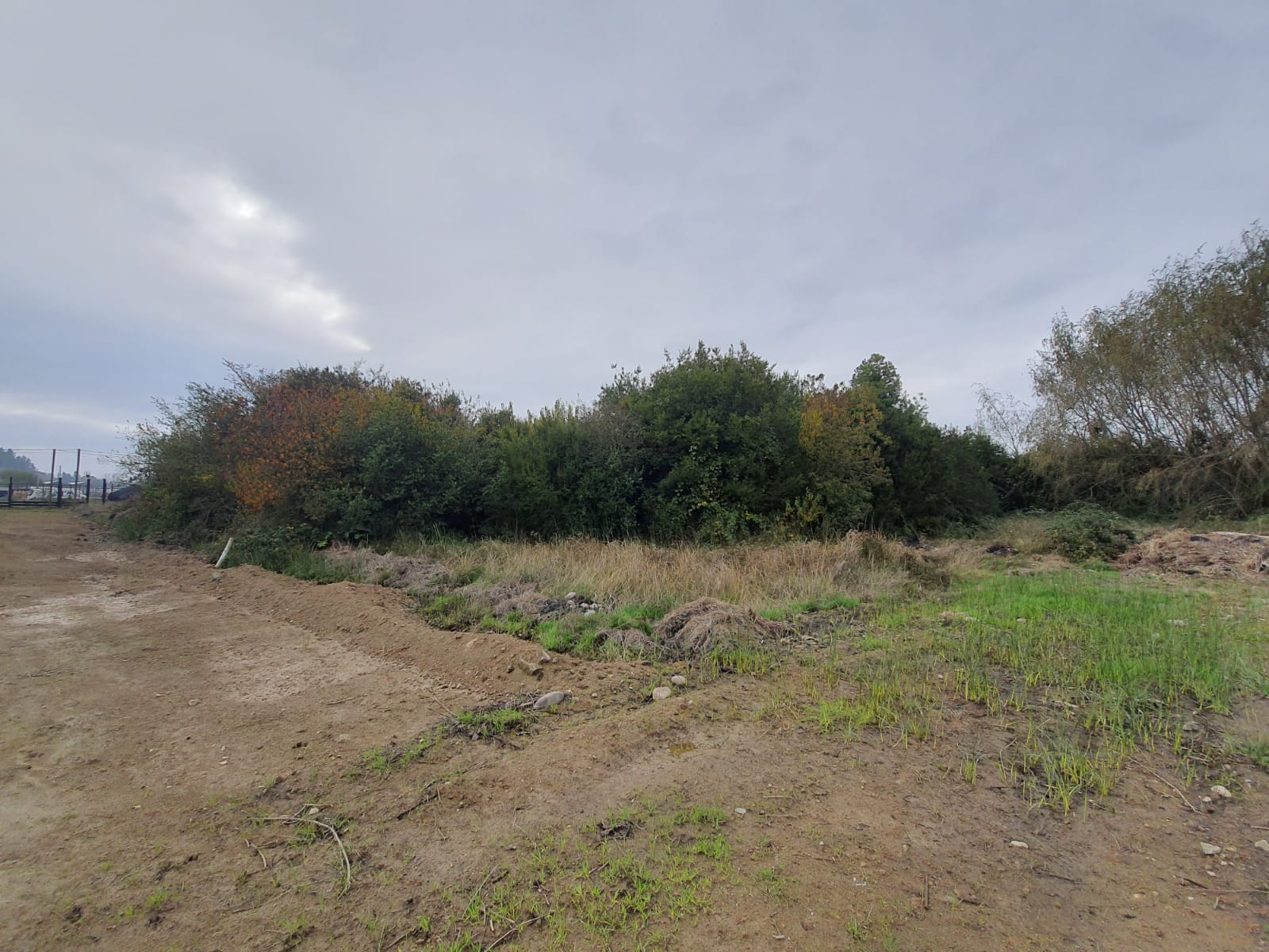 Parcela de 5.000 m2 Bobadilla