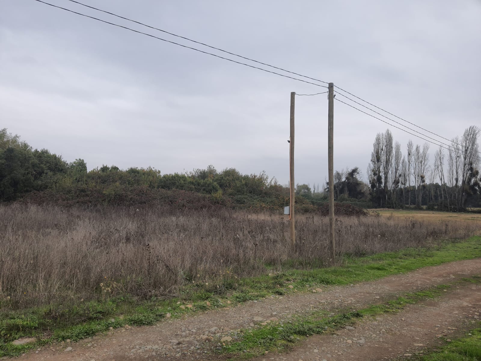 Parcela de 5.000 m2 Bobadilla