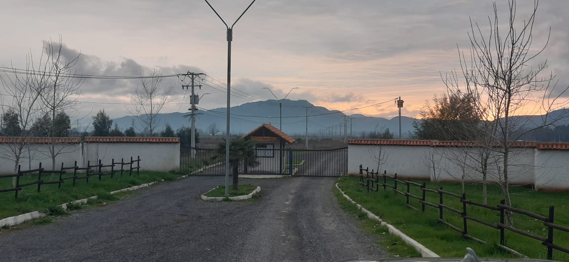 Parcelas desde 5.460 m2, Teno
